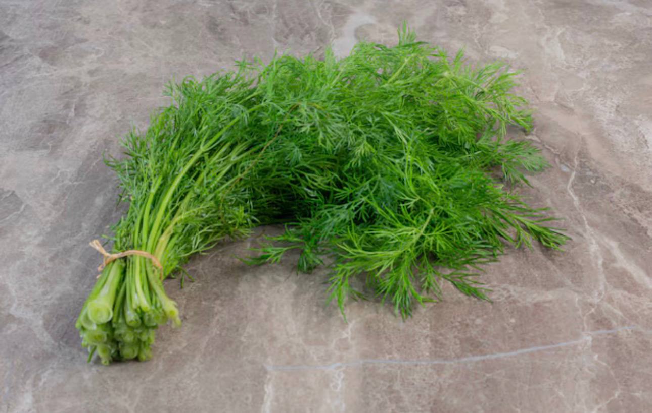 Эти 6 видов зелени стоит есть каждую неделю: польза для организма впечатляет